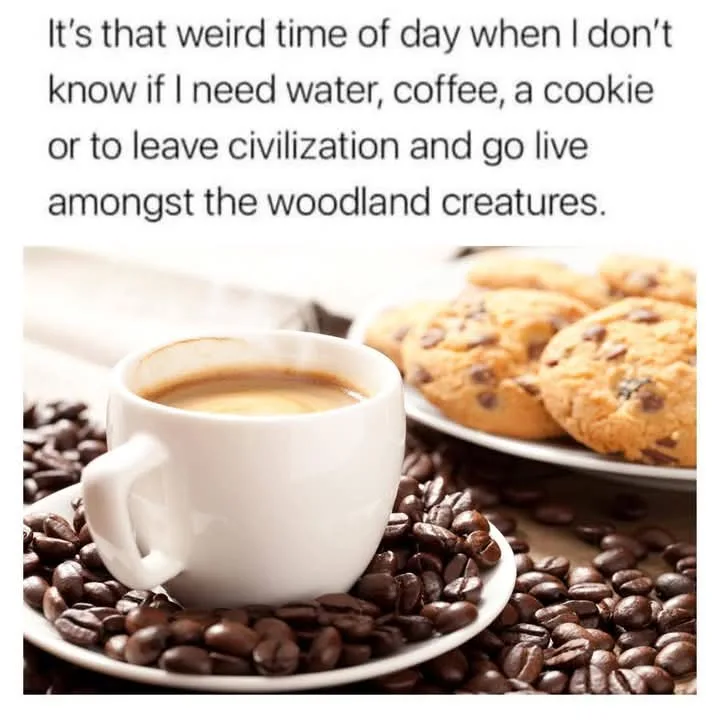 A white coffee cup sits on a saucer surrounded by coffee beans, with a plate of chocolate chip cookies in the background…
