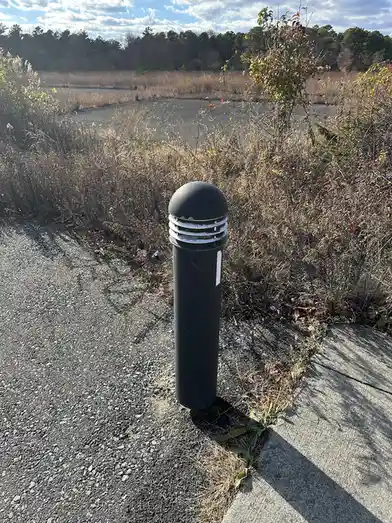 Nature Triumphs Over All