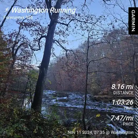 A screenshot from a Garmin Forerunner 955 running watch displays a trail run through a forest with autumn foliage and a…