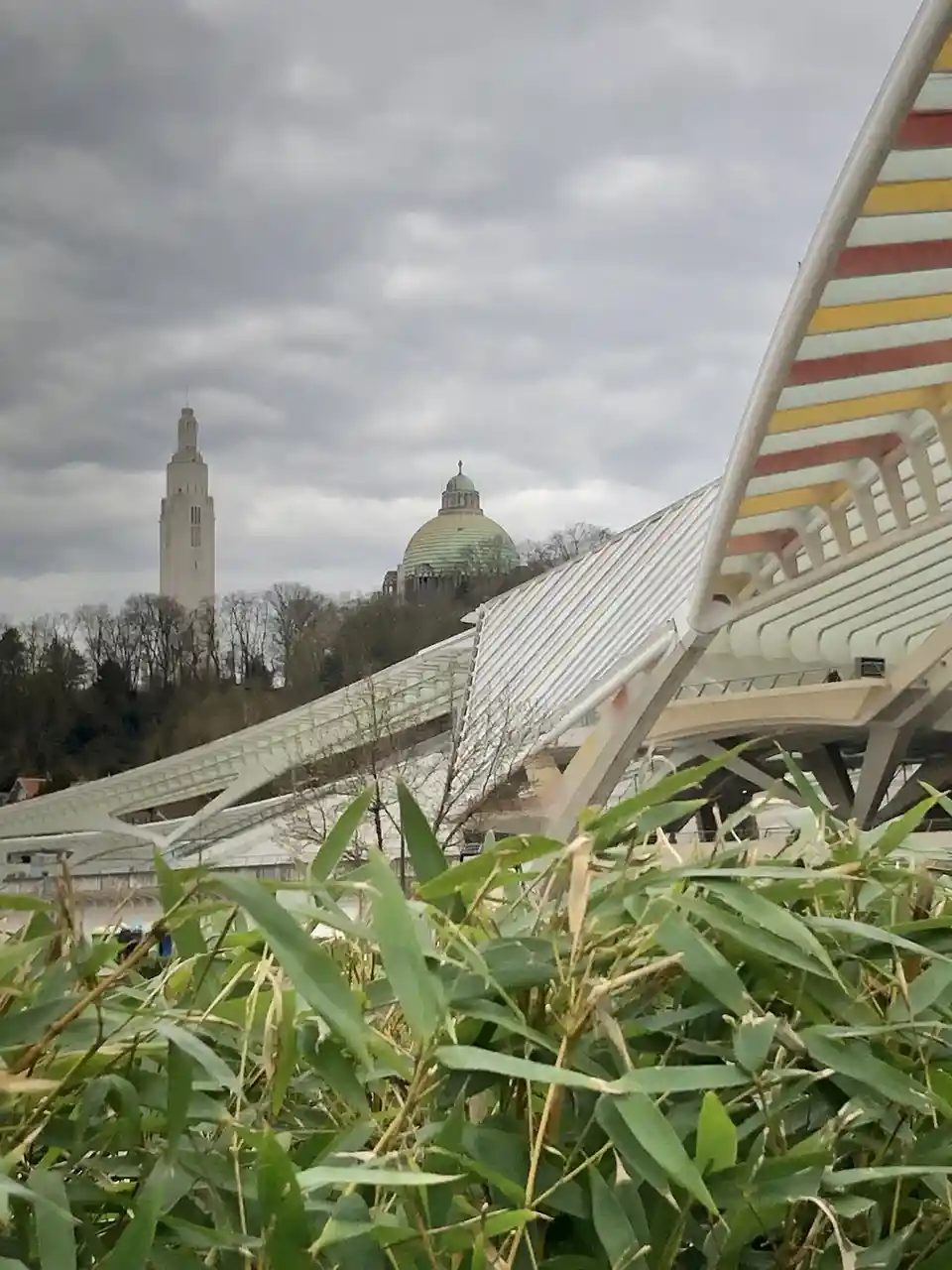 A photo of a modern, colorful, striped bridge structure in the foreground with green bamboo leaves in the immediate…