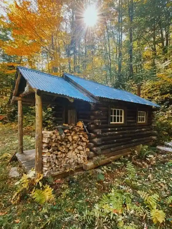 A rustic log cabin with a blue corrugated metal roof sits in a forest during autumn, surrounded by trees with orange and…
