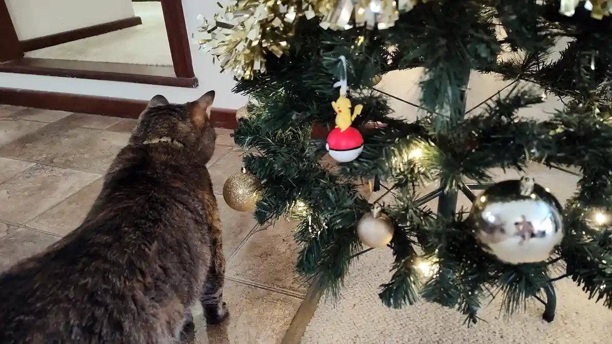Wishing you a purr-fectly Meowy Catmas!