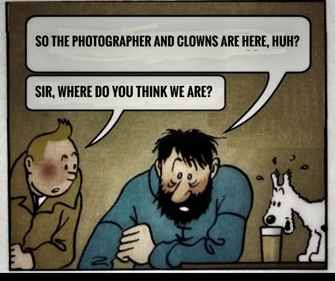 A comic panel shows Tintin looking surprised as he asks a bearded man, 'So the photographer and clowns are here, huh?' The…