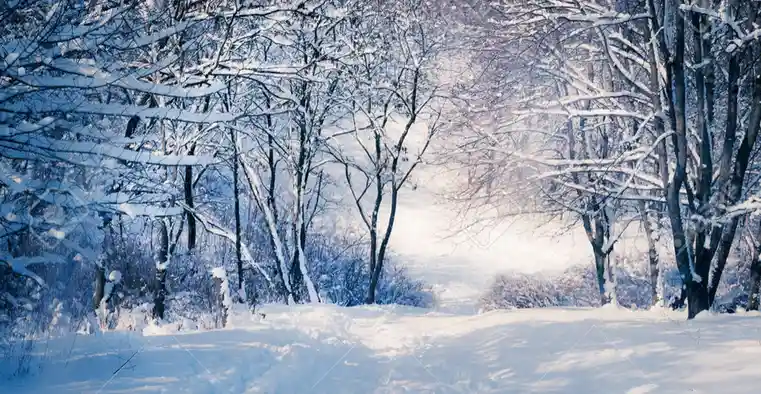 The Winter of Our Discontent is Here...