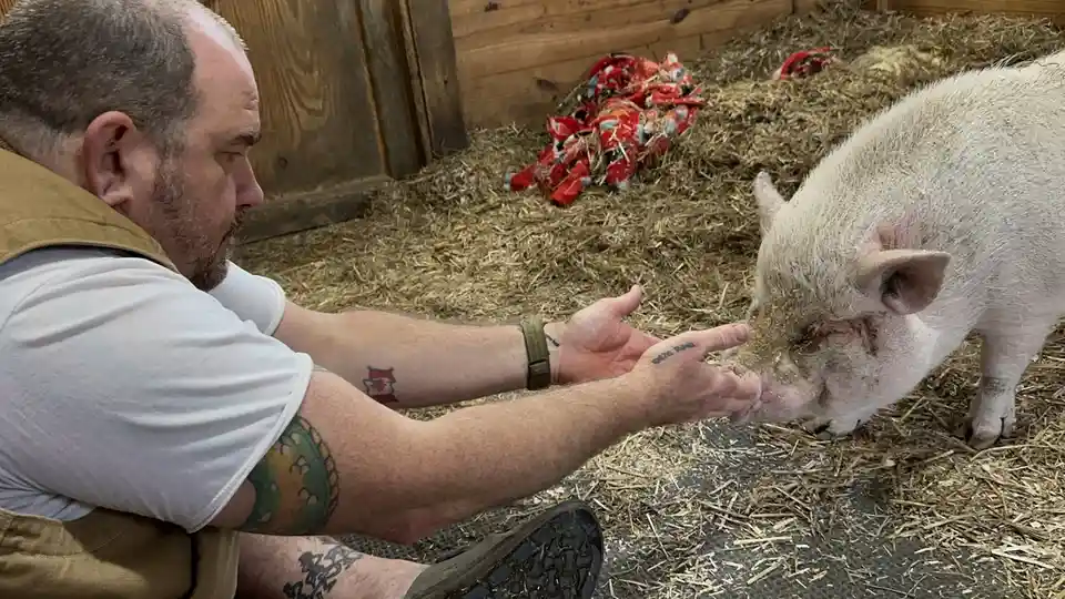 Merry Christmas from Me and My Pig, Henry!