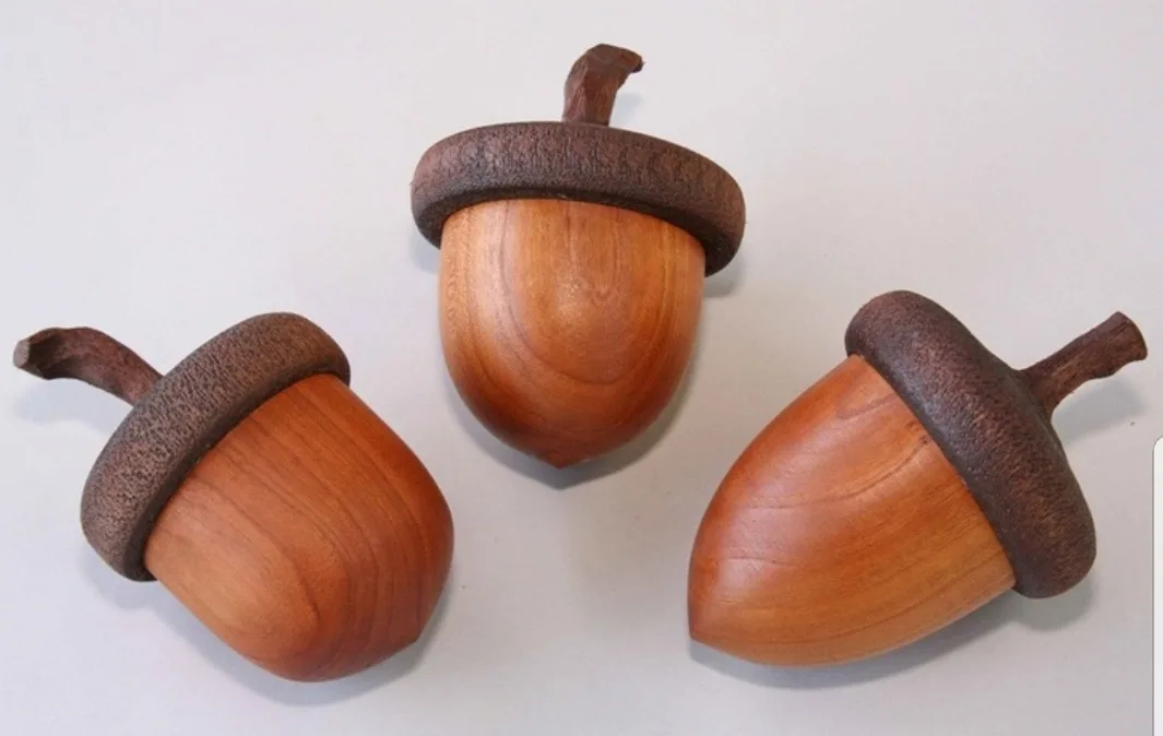 The Quirky World of Wood Nuts