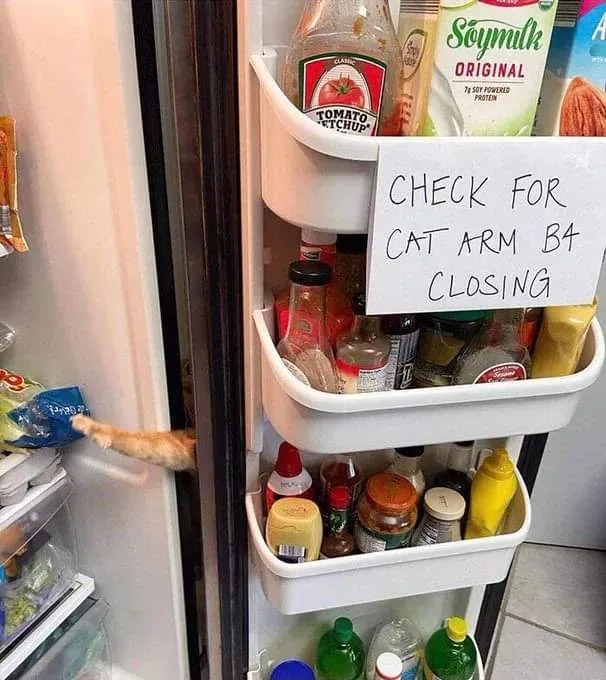 A refrigerator door is open, revealing a white multi-tiered door organizer filled with condiments like tomato ketchup and…