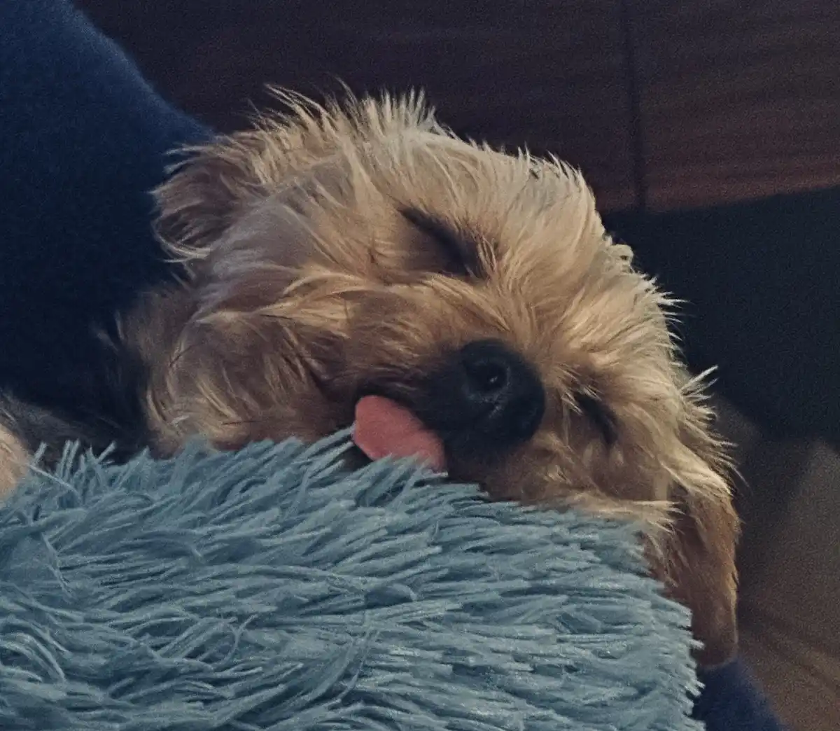 Aww, That's Just Too Cute!