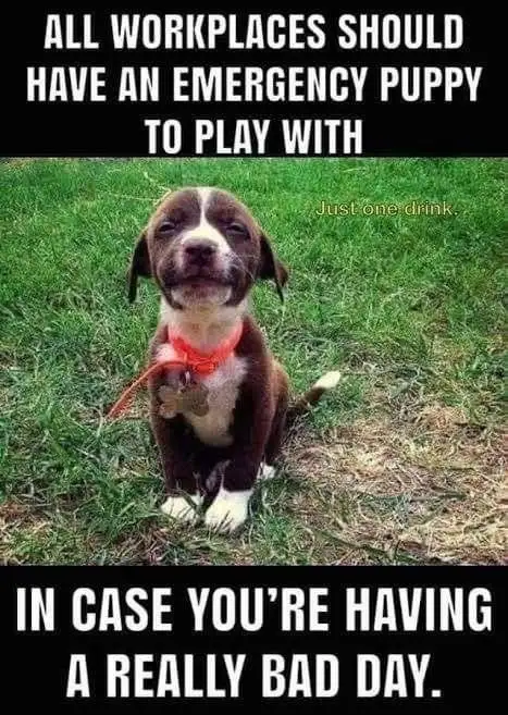 Absolutely, Yes!
