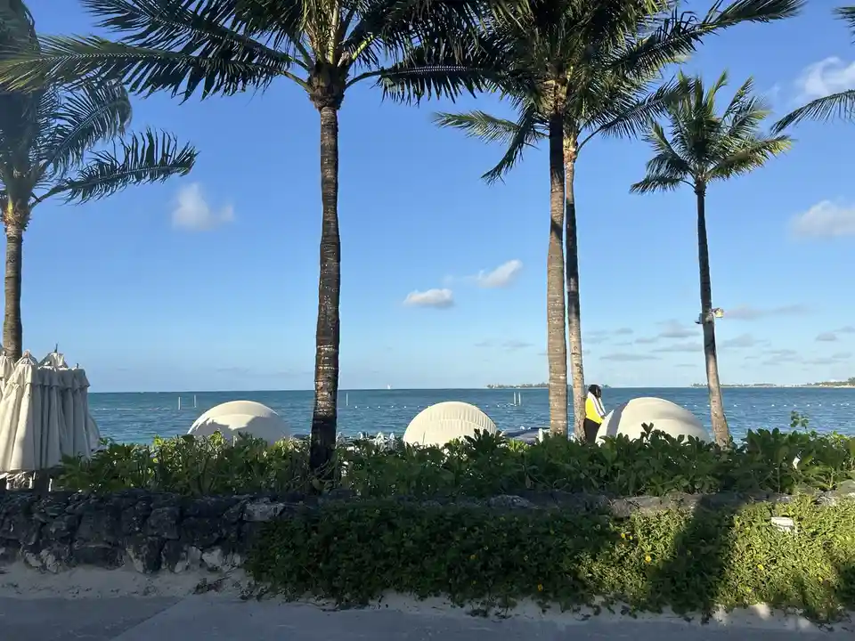 A person in a yellow top stands near white beach cabanas under palm trees overlooking the ocean. The sky is blue with…