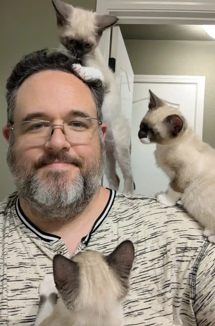 A man with glasses and a beard smiles at the camera while three small, light-colored Siamese kittens are positioned on him…