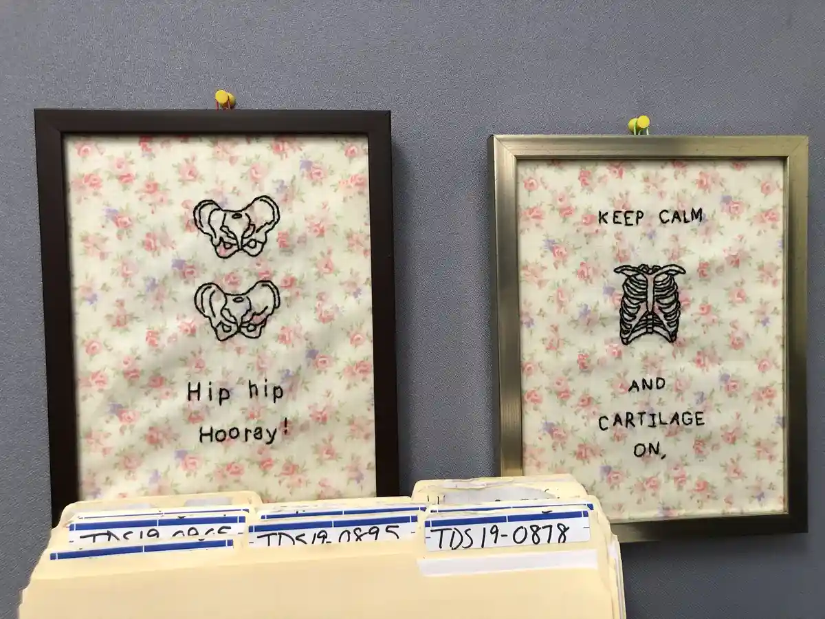 Pun-derful Bone Jokes for the Office