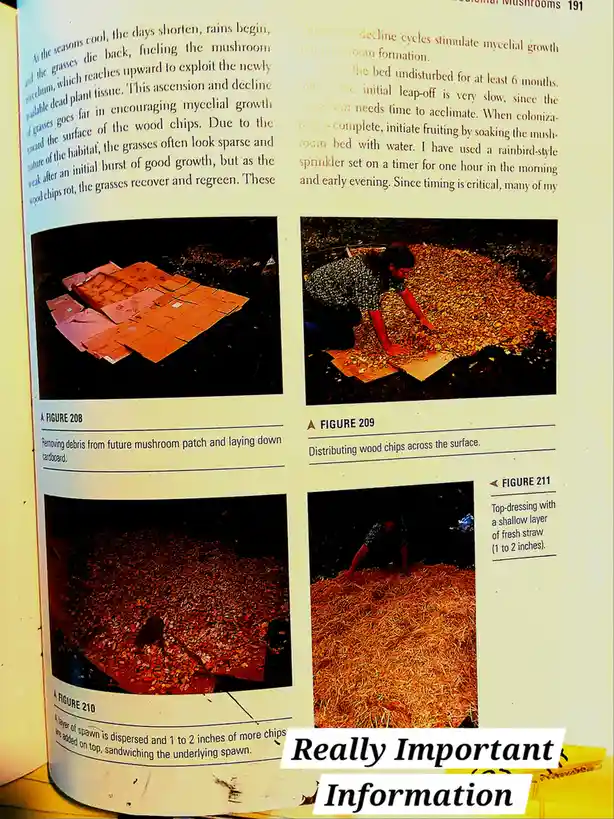 A page from a mushroom cultivation guide showing four figures: removing debris and laying cardboard, distributing wood…