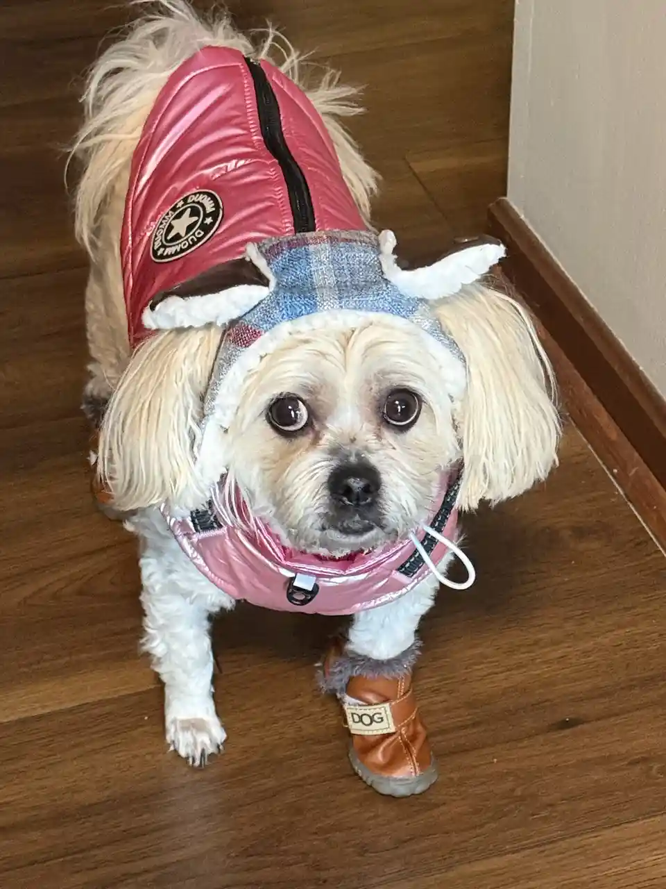 She's definitely not a fan of her boots.