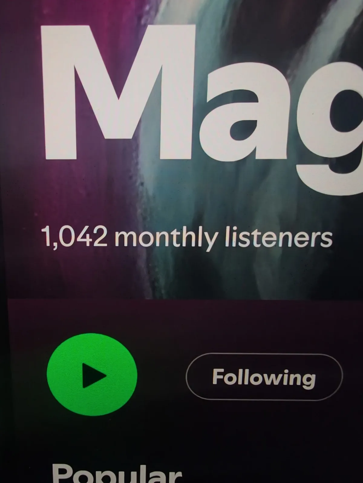 A screenshot of a music profile on Spotify showing the name 'Mag' and '1,042 monthly listeners' beneath it. Below are a…