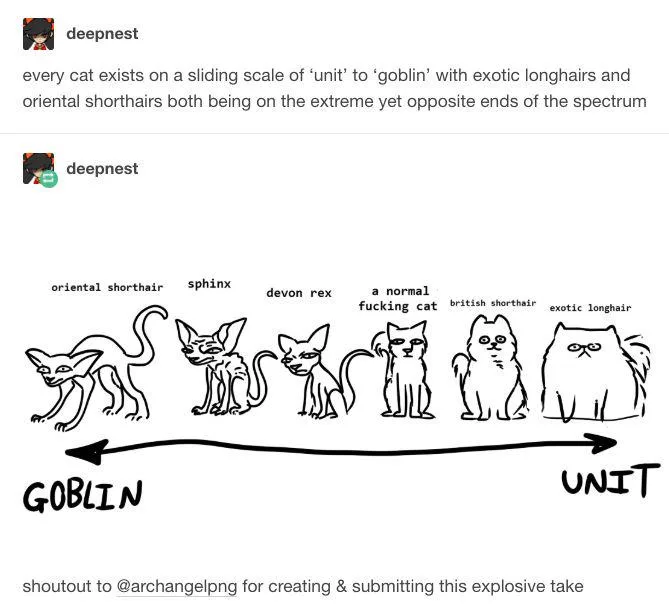 A hand-drawn black and white line art shows six cartoon cats arranged along a horizontal arrow labeled 'GOBLIN' on the left…