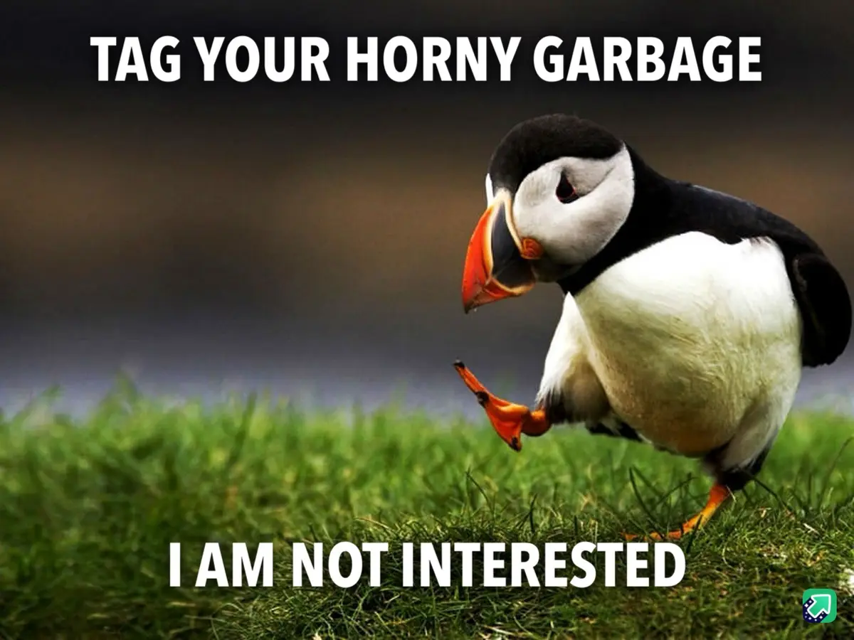 I'm All About the Animal Videos and Memes
