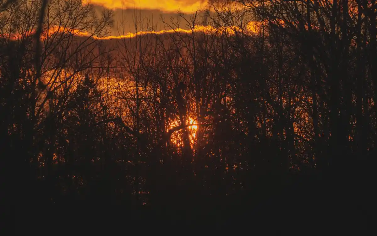 A serene sunset photo shows the sun glowing orange behind bare tree branches, casting silhouettes against a fiery sky. The…