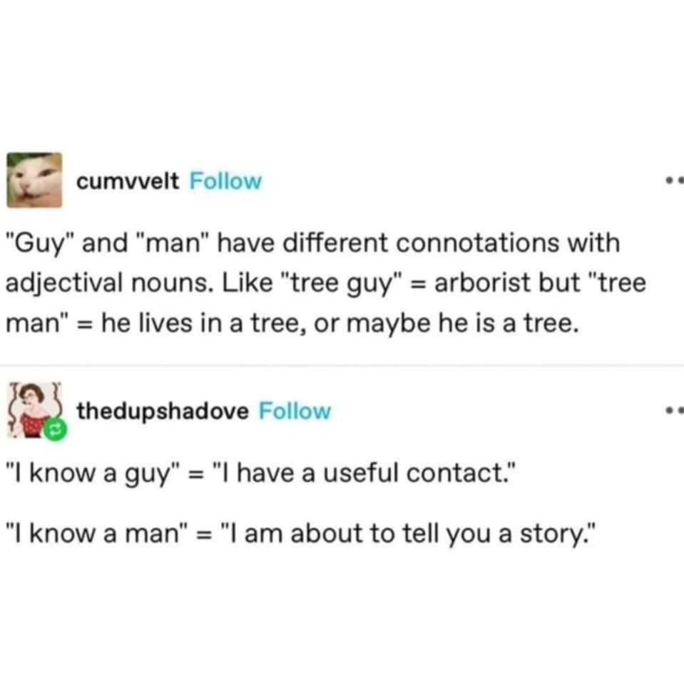A screenshot of two Twitter replies discussing the linguistic difference between 'guy' and 'man' when paired with…