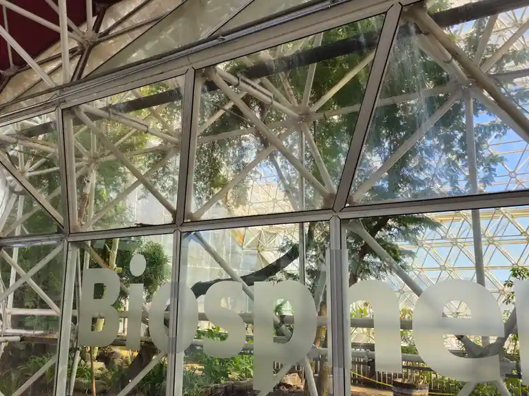 A photo of the interior of a large geodesic dome with a white metal frame and glass panels, showing lush green trees and…