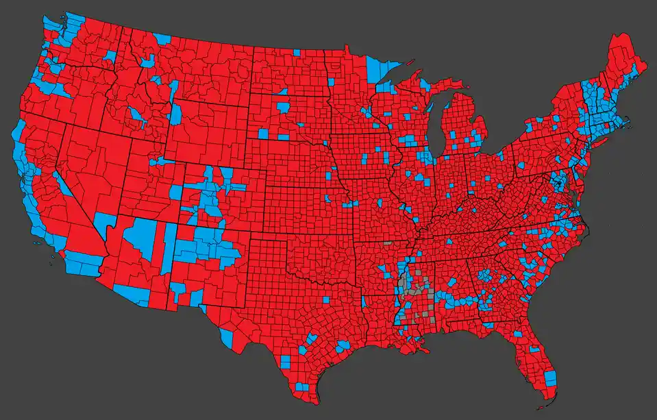 Your Guide to the 2024 Presidential Election: A County Map