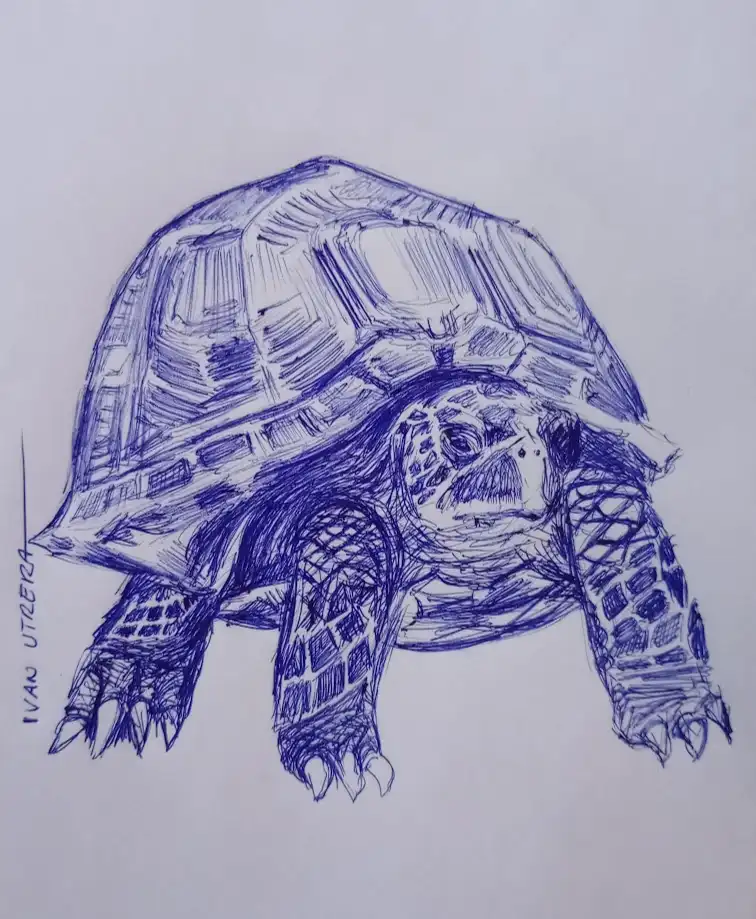 A detailed blue ink sketch of a tortoise on white paper, with the artist's signature 'IVAN UTEZERA' in the bottom left. The…