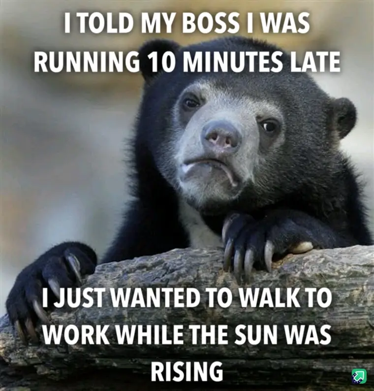 Totally Worth It, and I Would Do It Again!