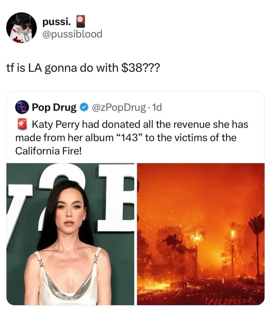 The image is a screenshot of a tweet from @zPopDrug stating that Katy Perry donated all revenue from her album '143' to…