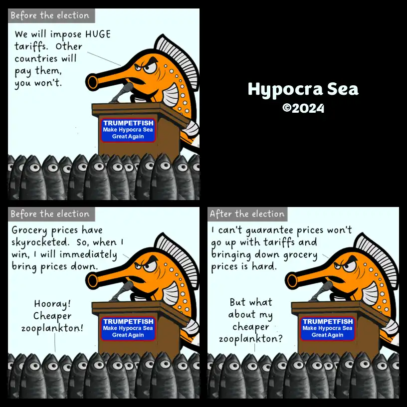 A four-panel comic strip featuring an orange trumpetfish politician giving speeches to a crowd of black fish. In the first…