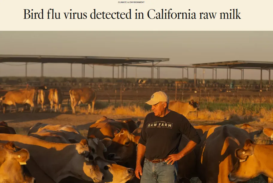 Bird Flu Virus Found in California's Raw Milk: A Health Alert