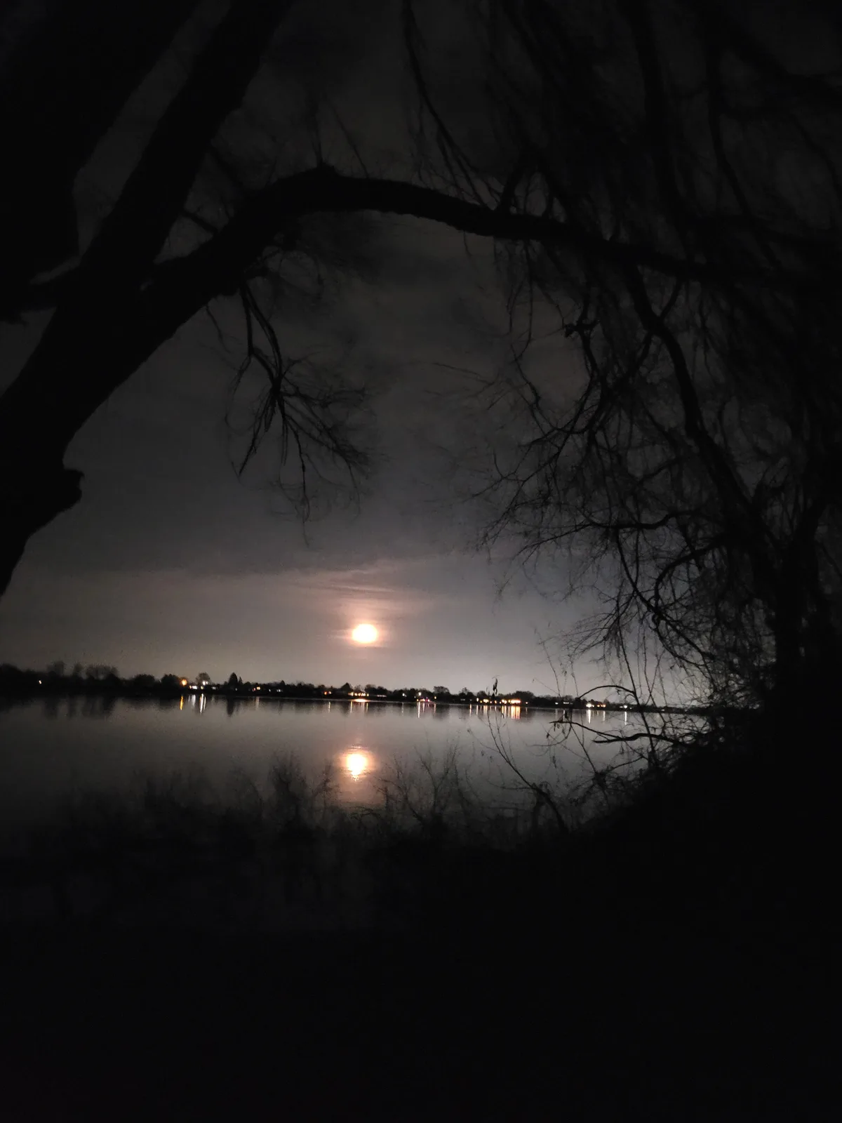 A nighttime photo shows a bright full moon over a calm lake, framed by dark, bare tree branches in the foreground. Across…