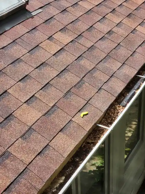 A bright green, curved banana peel rests on a brown and black shingled roof near a gutter filled with leaves. The image…