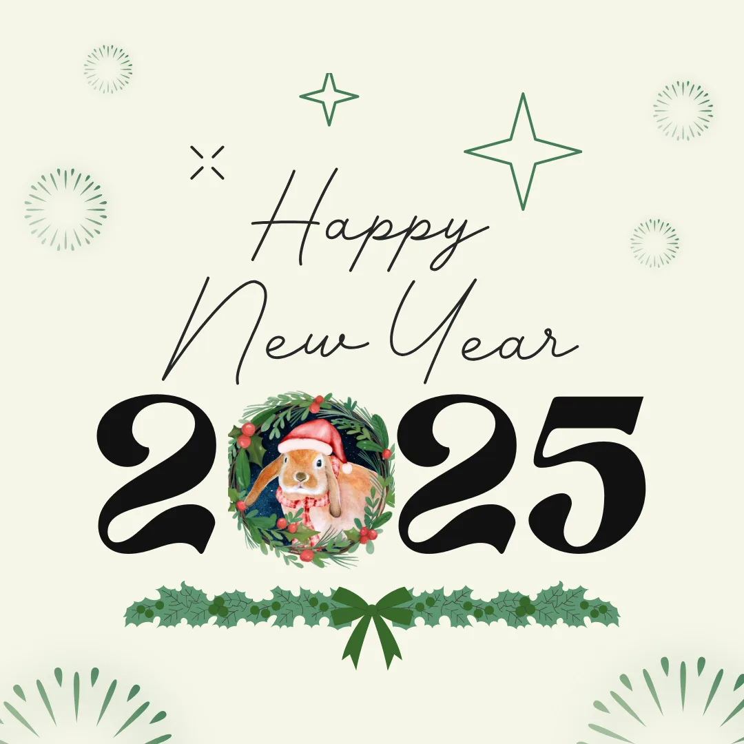 A festive graphic with the text 'Happy New Year 2025' in elegant script and bold numerals. The zero in '2025' is replaced by…