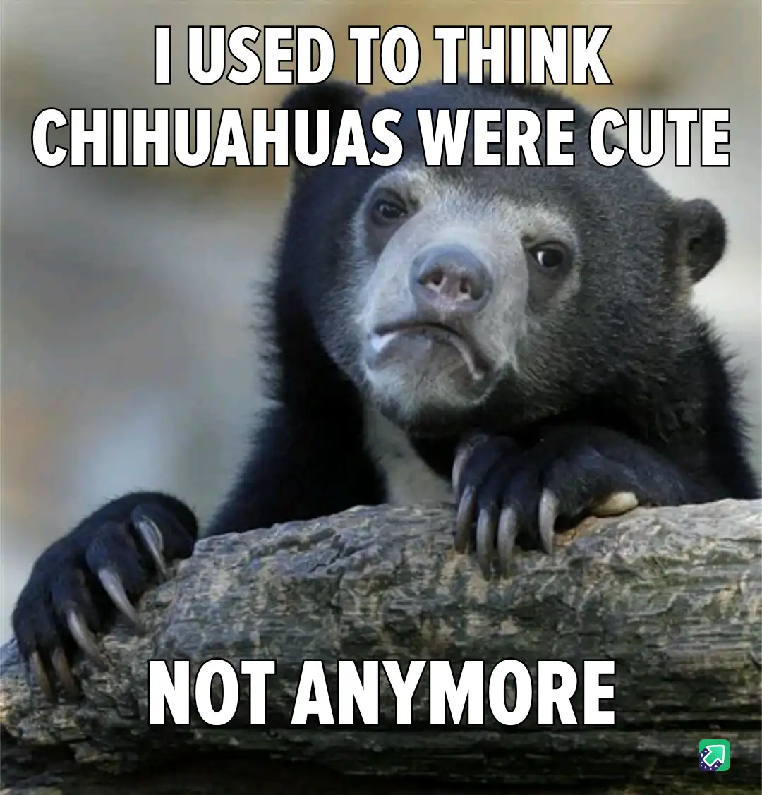 After Adopting My Catahoula-Pitbull Mix, I've Grown to Dislike Small Dogs, Especially Chihuahuas