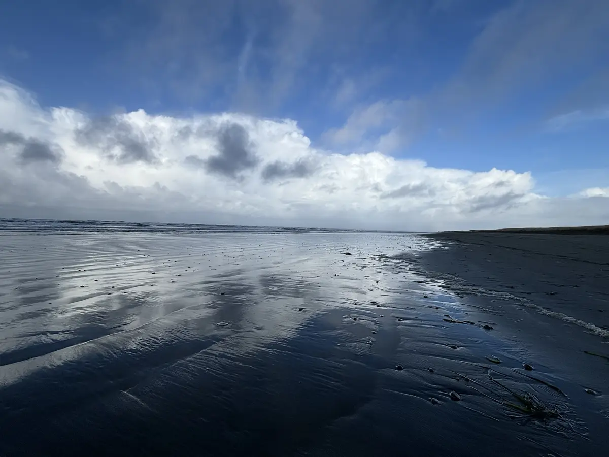A wide-angle photo of a dark, wet beach under a partly cloudy blue sky, with gentle waves lapping at the shore and scattered…