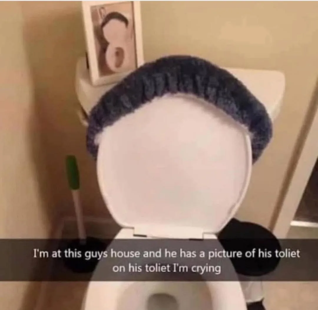 A white toilet with the lid up has a dark blue knitted cover draped over the top edge. On the toilet tank, a framed picture…