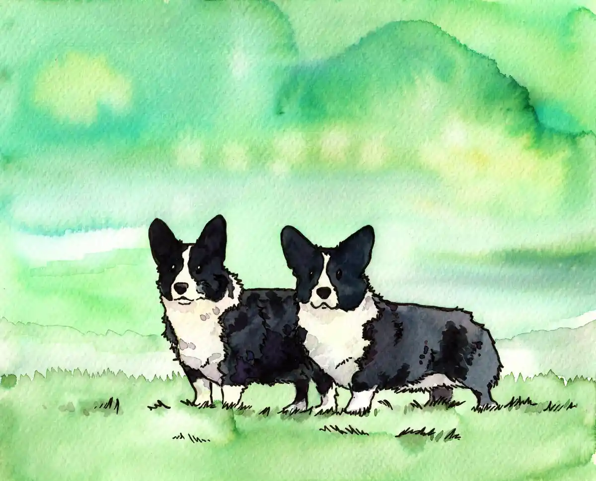 A watercolor painting shows two black-and-white corgis standing side-by-side in a grassy field under a greenish sky. The…