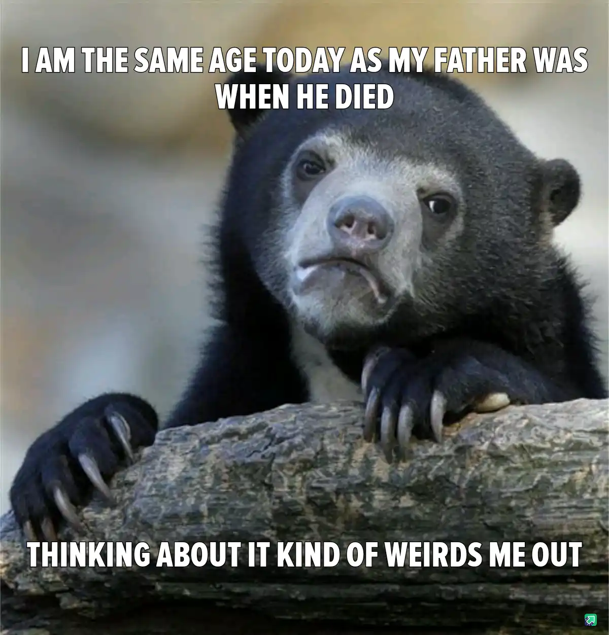 You know what I mean?