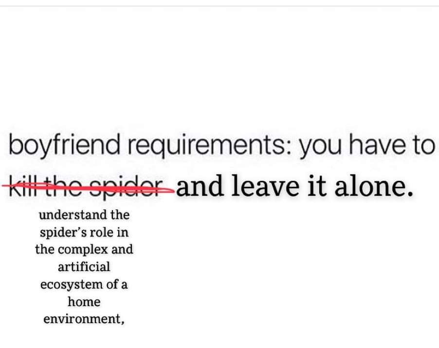 The image displays text stating 'boyfriend requirements: you have to kill the spider and leave it alone.' The phrase 'kill…
