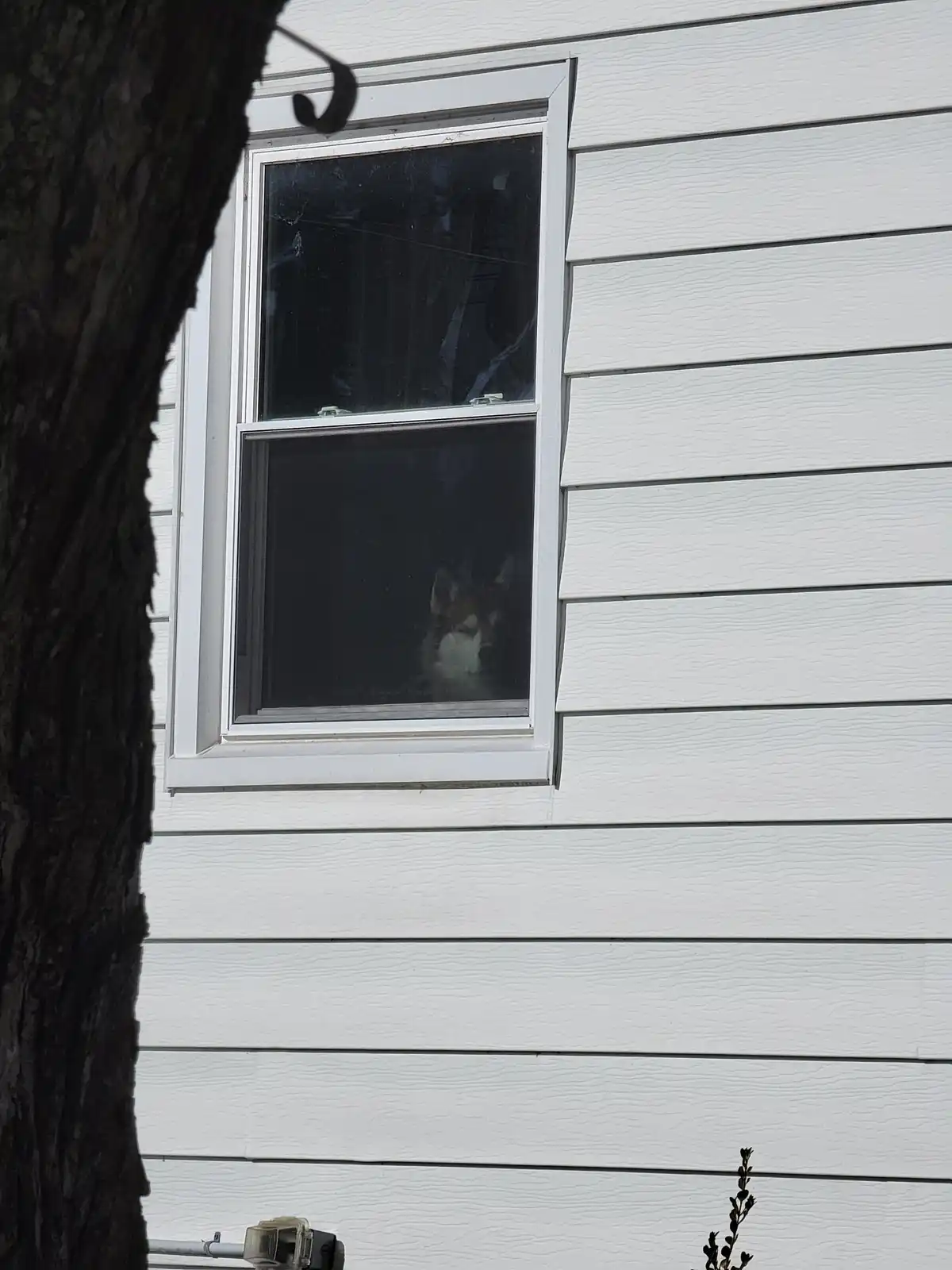 Me every time I have to step outside: The struggle is real.