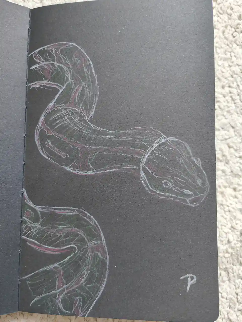 The Slithering Mystery of the Snake
