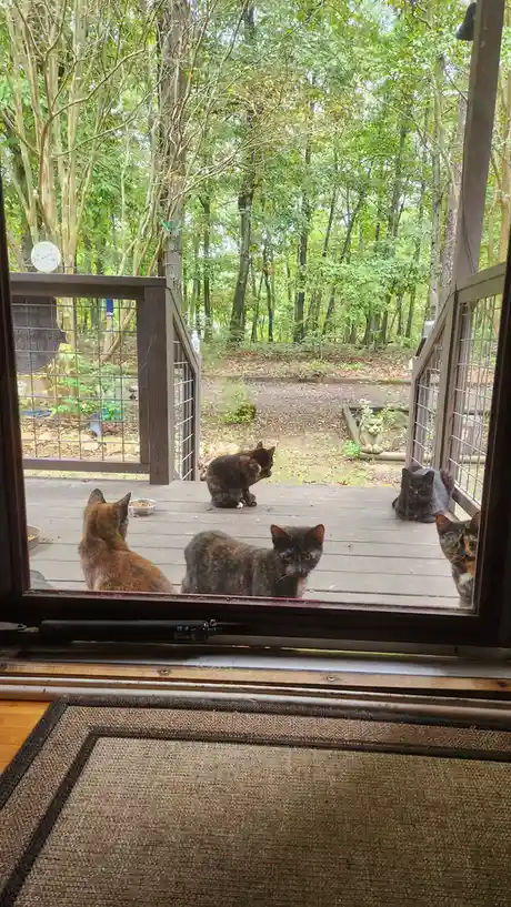 When Your Squad Arrives Ready to Party All Night Long