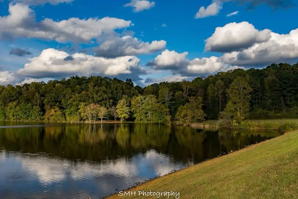 A serene landscape photograph of a calm lake reflecting a blue sky with fluffy white clouds and a dense forested shoreline…