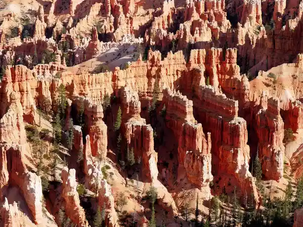 A scenic photo of orange-red rock formations and pine trees in a canyon, overlaid with the text 'i'm not lazy, i'm in…