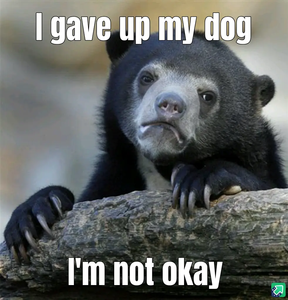 A close-up photo of a sad-looking spectacled bear resting its paws on a log, with large white text overlaid at the top…