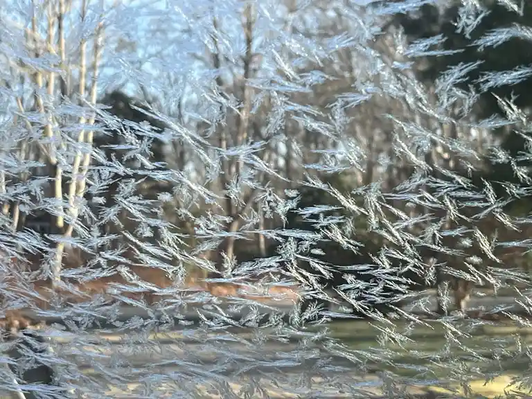 Frosty Mornings and Windshield Woes