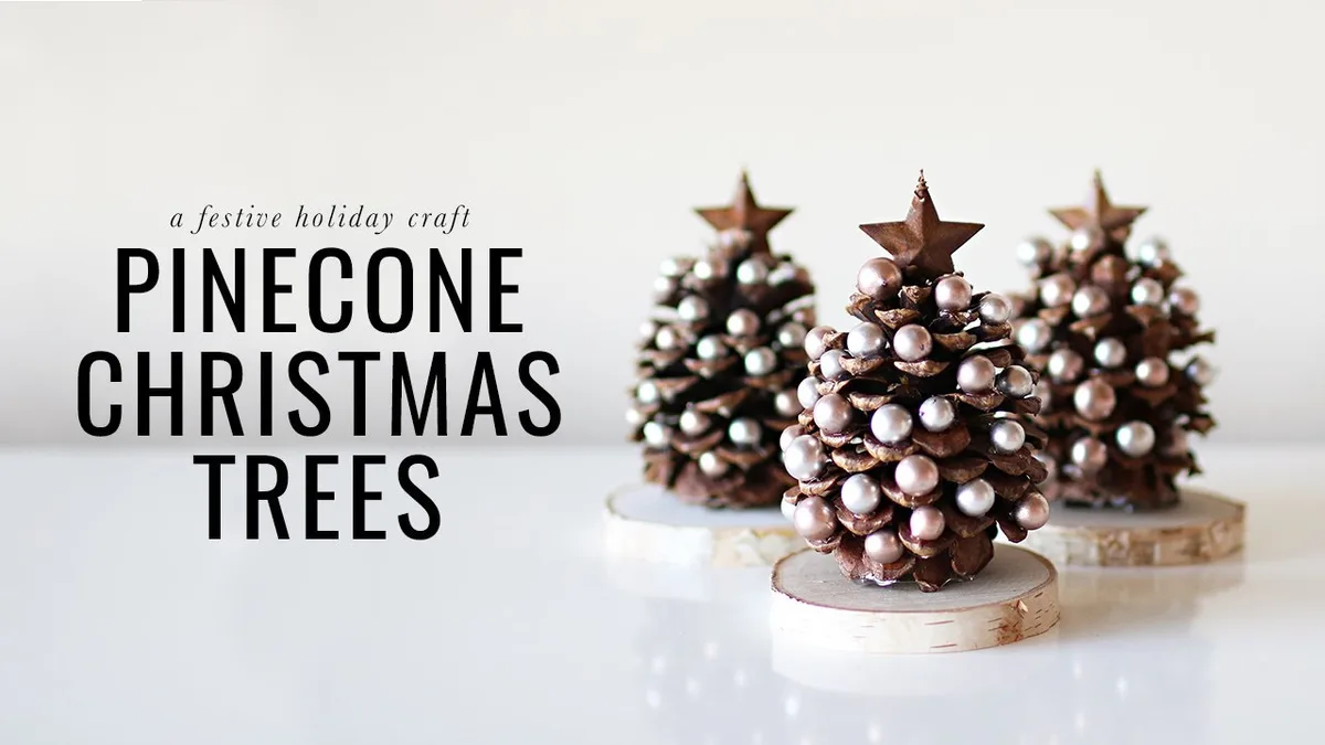 No Pinecones, No Christmas Trees: The Truth Revealed