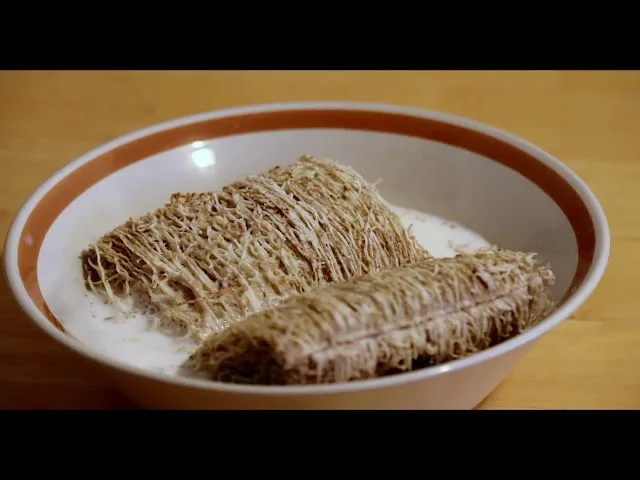 A close-up shot of two rectangular, textured cereal pieces submerged in milk inside a white ceramic bowl with a brown rim…