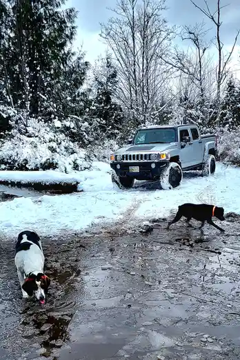 A silver Hummer H3T is parked in snowy terrain, with two dogs in the foreground. One dog, a hound-type with white, black…