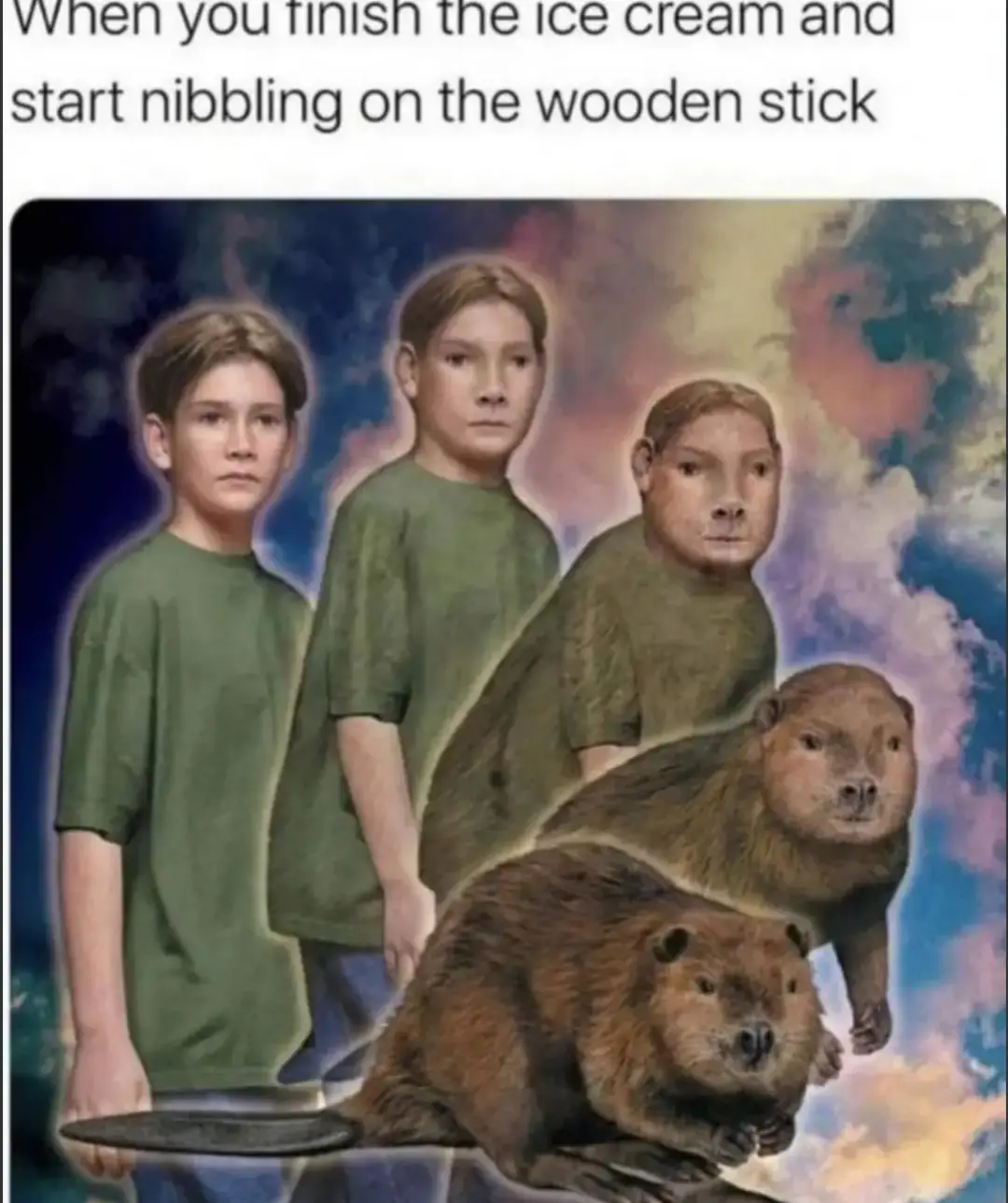 The image shows a digitally altered portrait of a boy in a green shirt, progressively transforming into a beaver as he…